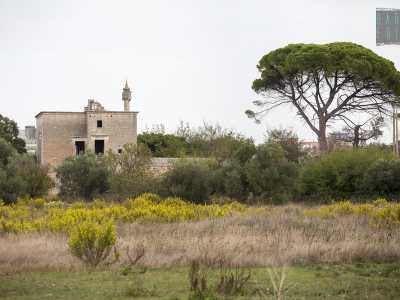 Masseria Caffariello, edificio storico tra i pi� isolati e �imboscati� della terra di Bari. La struttura prende il nome da colui che l�ha fatta costruire: Gaetano Majorano, meglio conosciuto con il nome di �Caffariello�, una delle pi� grandi voci della musica lirica di ogni tempo
